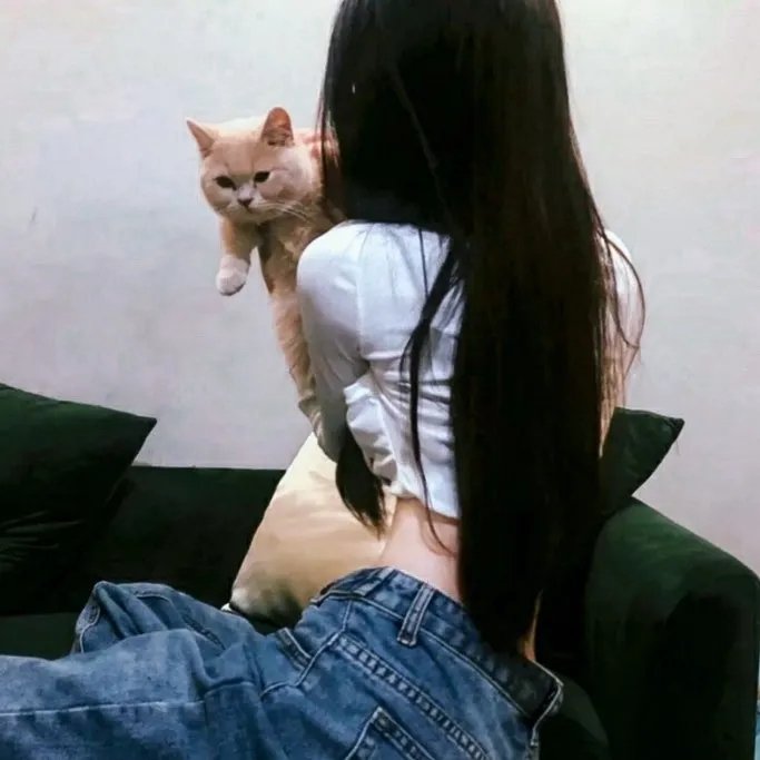 小屁孩日记2 封面